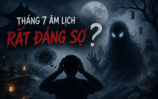 Chiếc Xe Cũ và Những Lỗi Giao Thông Chấn Động: Câu Chuyện Thực Tế