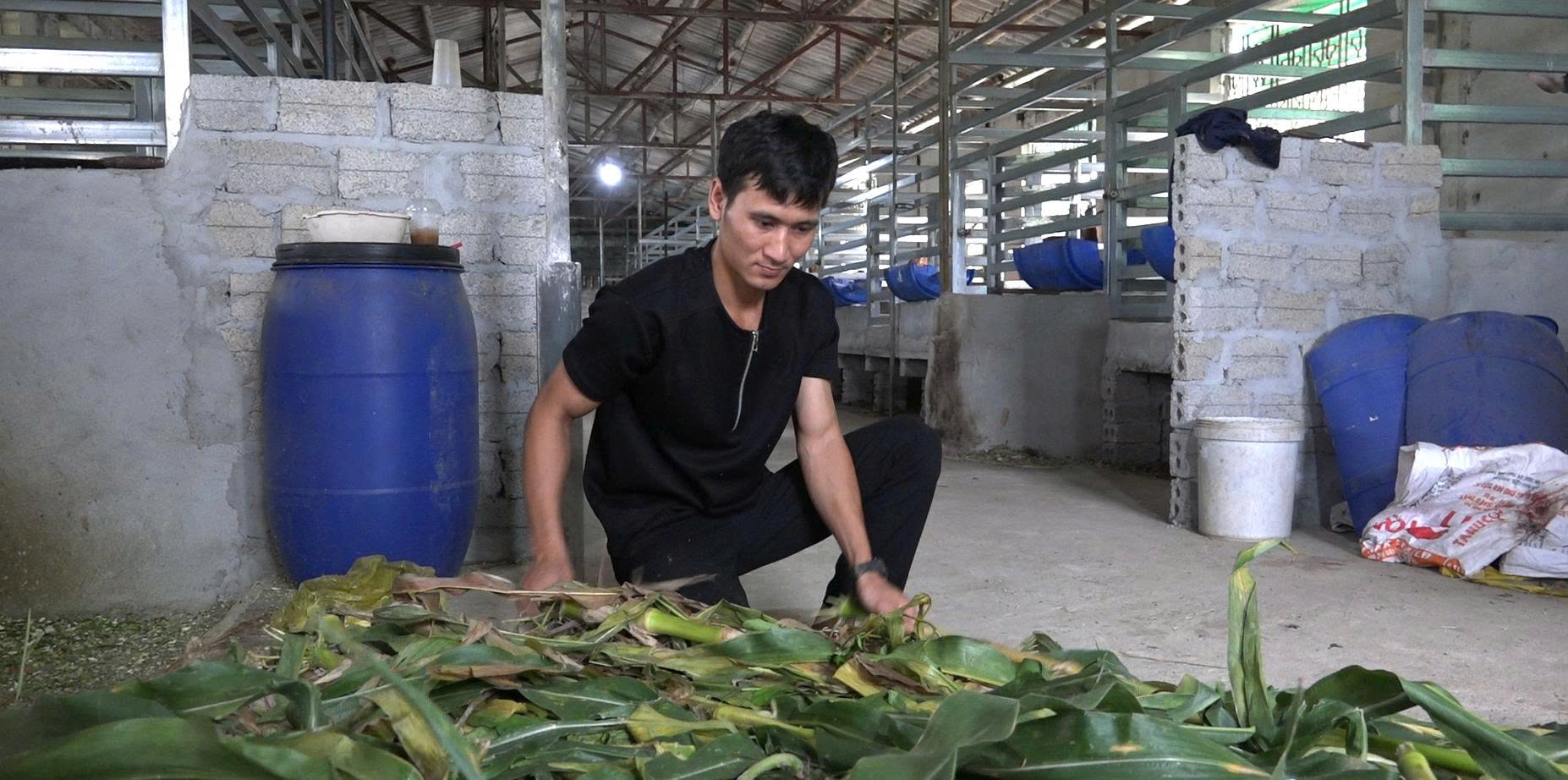 Kỹ sư Trịnh Ngọc Bình chăm sóc hươu sao Kỹ sư Trịnh Ngọc Bình chăm sóc hươu sao