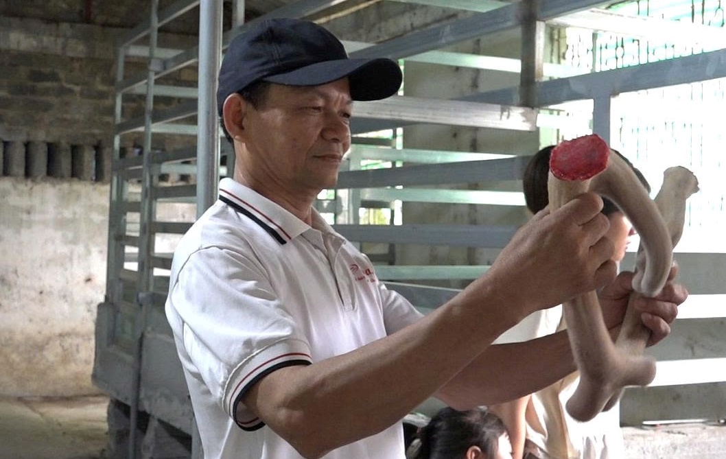 Giá trị kinh tế từ nhung hươu Giá trị kinh tế từ nhung hươu