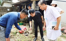 Khuyến Khích Chế Độ Ăn Lành Mạnh Qua Việc Giảm Muối: Giải Pháp Đối Phó Với Bệnh Tật