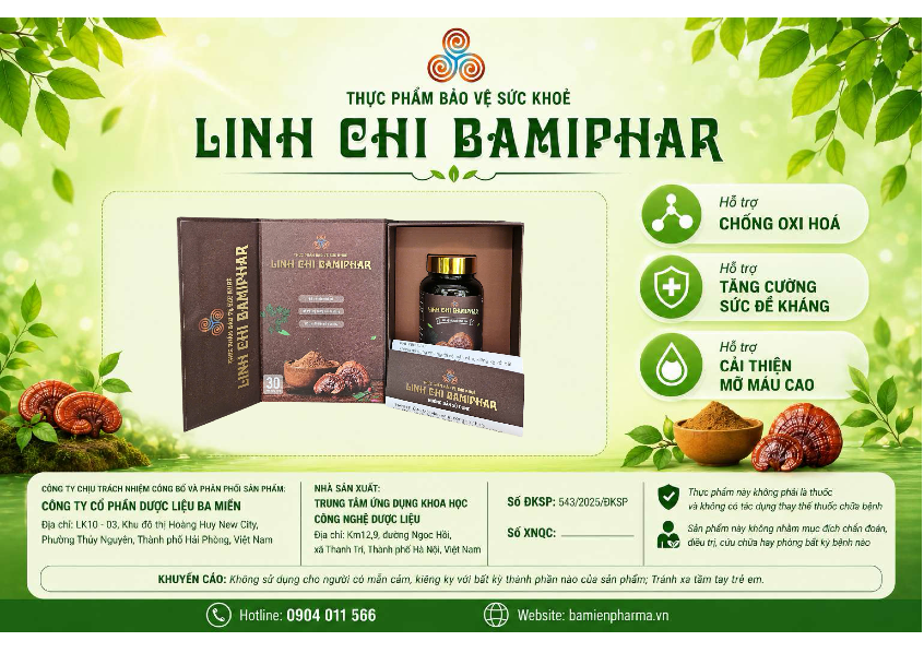 Đem Lại Sức Khỏe Bền Vững Nhờ Tinh Chất Nấm Linh Chi - Ảnh 2.