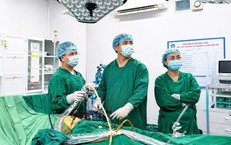 Hà Tĩnh Tăng Cường Biện Pháp Đối Phó Với Dịch Sốt Xuất Huyết