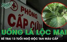 Khám Phá Tầm Quan Trọng Của Việc Phát Hiện Sớm Bệnh Tim Mạch