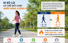 Khám Phá Tác Dụng Chữa Bệnh Của Rễ Cỏ Xước