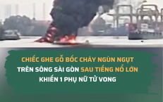 Khám Phá Công Dụng Tuyệt Vời Của Lá Cây Trong Việc Bảo Vệ Sức Khỏe Tim Mạch