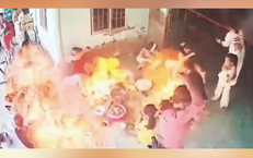Tai Nạn Giao Thông Kinh Hoàng: Trâu Bị Tông Đâm Vào Xe Khác