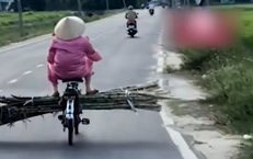 Câu Chuyện Đáng Buồn: Bé Gái 9 Tuổi Qua Đời Do Bệnh Dại Sau Vết Cắn Của Chó
