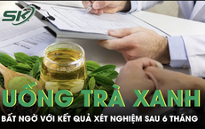 Người Dân Dũng Cảm Bắt Rắn Khổng Lồ Giữa Đường Tại Nghệ An