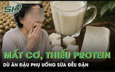 Cảnh Báo Sức Khỏe: Hệ Lụy Bất Ngờ Khi Tiêu Thụ Thịt Chó