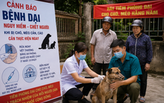 Nâng Cao Hiệu Quả Cấp Cứu Ngoại Viện: Giải Quyết Thách Thức Thời Gian Vàng