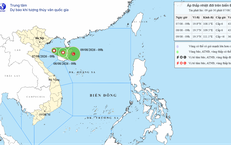 Sự Thật Đằng Sau Cuộc Họp Mở Rộng Tại Nhà Huấn Hoa Hồng: Thời Gian Trải Nghiệm Ảo