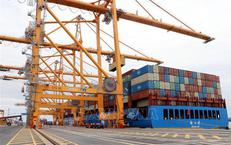 Những Tác Động Tiêu Cực Của Việc Tiêu Thụ Đạm Quá Mức