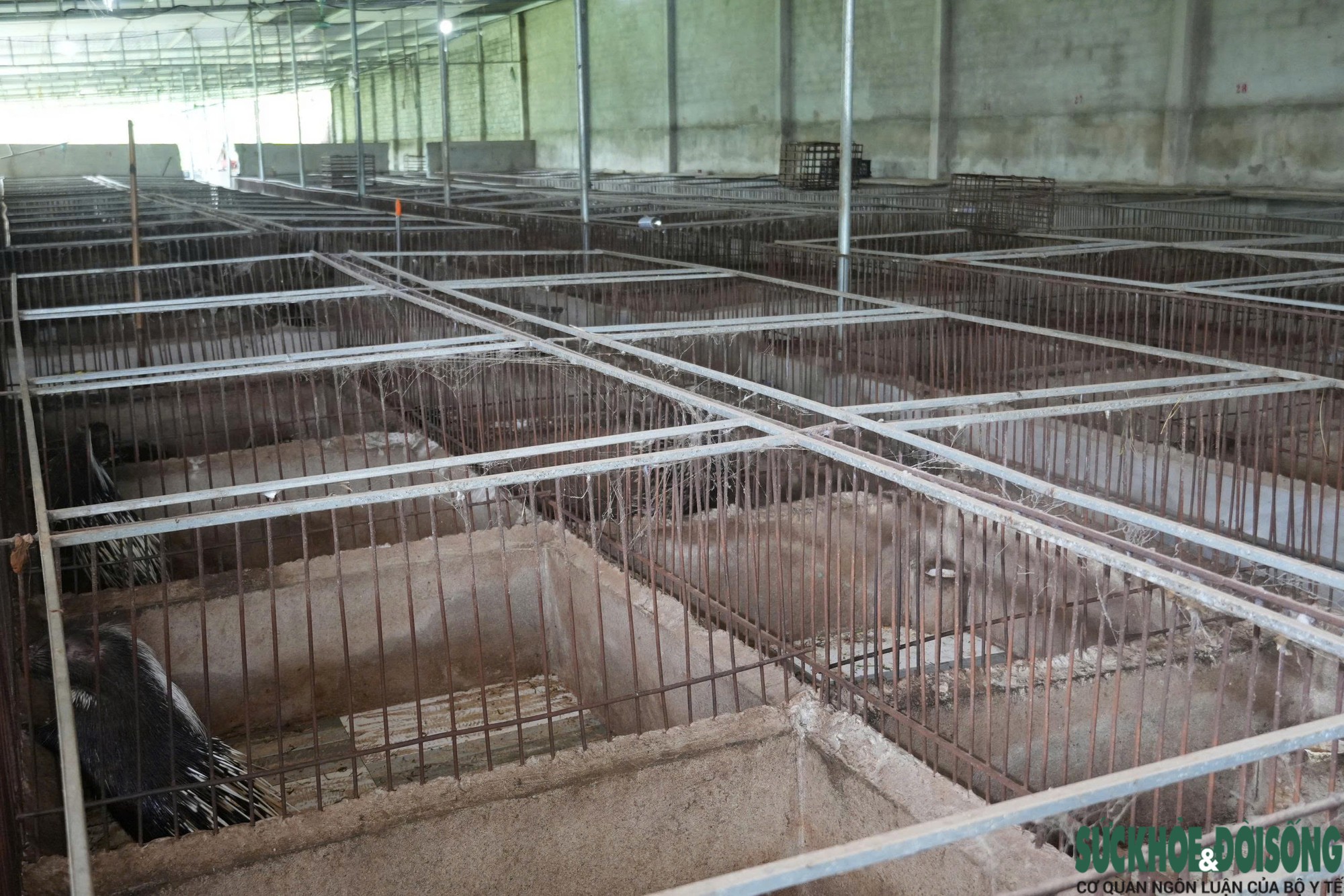 Hệ thống chuồng nuôi nhím