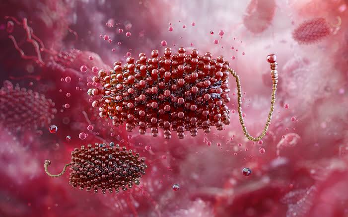 Cảnh Báo Tình Trạng Bệnh Virus Chandipura Tại Ấn Độ: Những Chi Tiết Quan Trọng