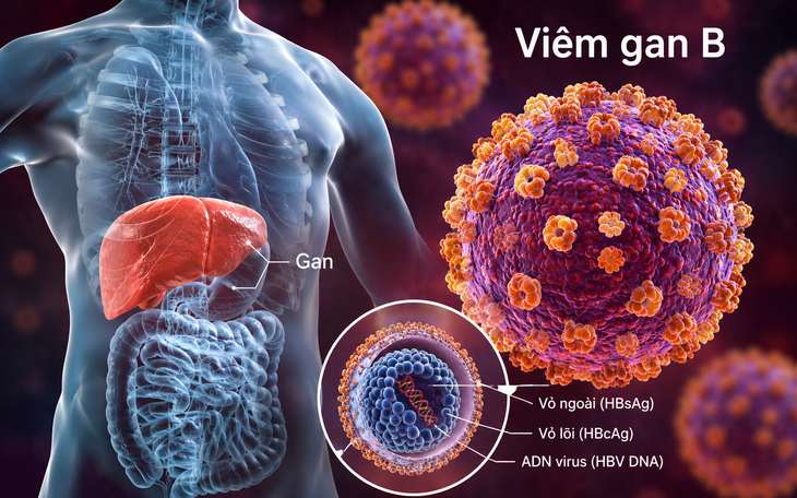 Tại sao viêm gan B và C gây ra nhiều ca tử vong?