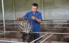 Nghệ An Gấp Rút Ứng Phó Hậu Quả Lũ Lụt Để Bảo Vệ Cộng Đồng
