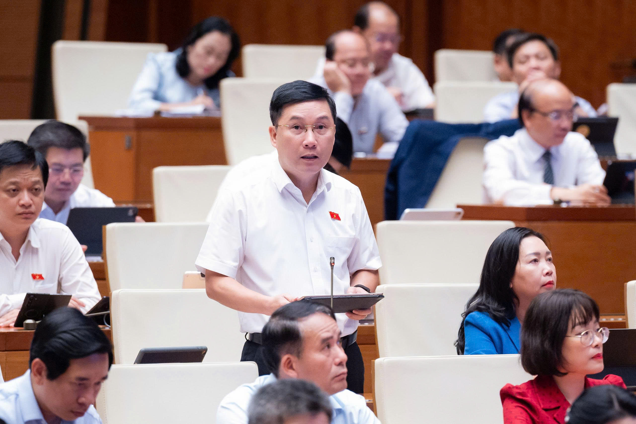 ĐBQH Lê Hoàng Anh - Đoàn Gia Lai. Ảnh: Media Quốc hội