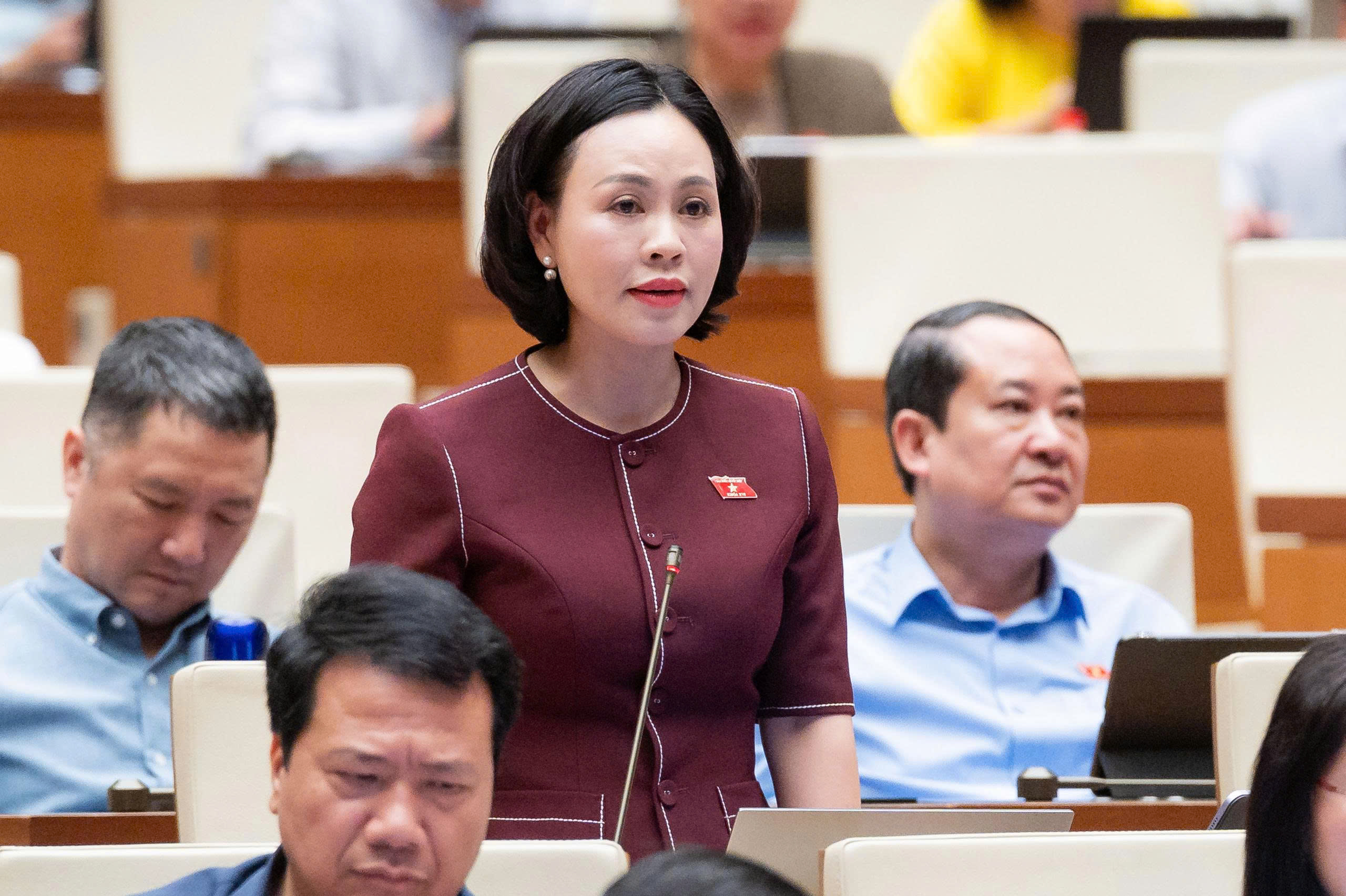 dbqh-thanh-17865193433881763841972 Nhiều ĐBQH nhất trí cao với chủ trương thành lập thành phố Quảng Ninh- Ảnh 1.