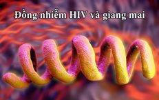 Giải Pháp Tăng Cường Sinh Lý Nam Giới: An Toàn và Hiệu Quả Hơn