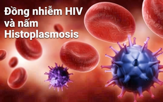 Khám Phá Mối Liên Hệ Giữa Virus HPV và Bệnh Ung Thư