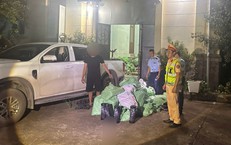 Chuyện của Người Bác Sĩ Giữa Rừng: Hành Trình Tìm Kiếm Hài Cốt Liệt Sĩ