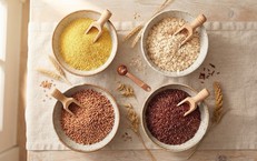 Vai Trò Của Kẽm Chelate Trong Hỗ Trợ Miễn Dịch Chống Lại Nhiễm Trùng