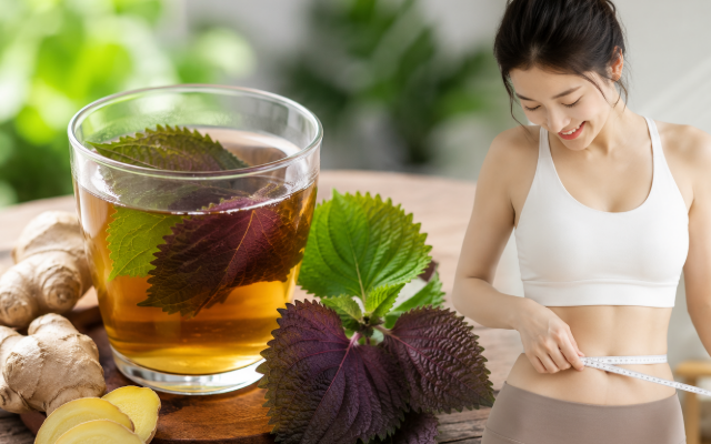 Berberin có phải ozempic tự nhiên? Chuyên gia cảnh báo người bệnh cần hiểu đúng trước khi sử dụng - Ảnh 2.