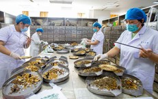 Vai Trò Quan Trọng Của Bảo Hiểm Y Tế Trong Điều Trị Bệnh Nặng