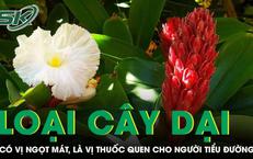 Nguy Hiểm Đến Từ Thực Phẩm: Câu Chuyện Của Người Đàn Ông 70 Tuổi