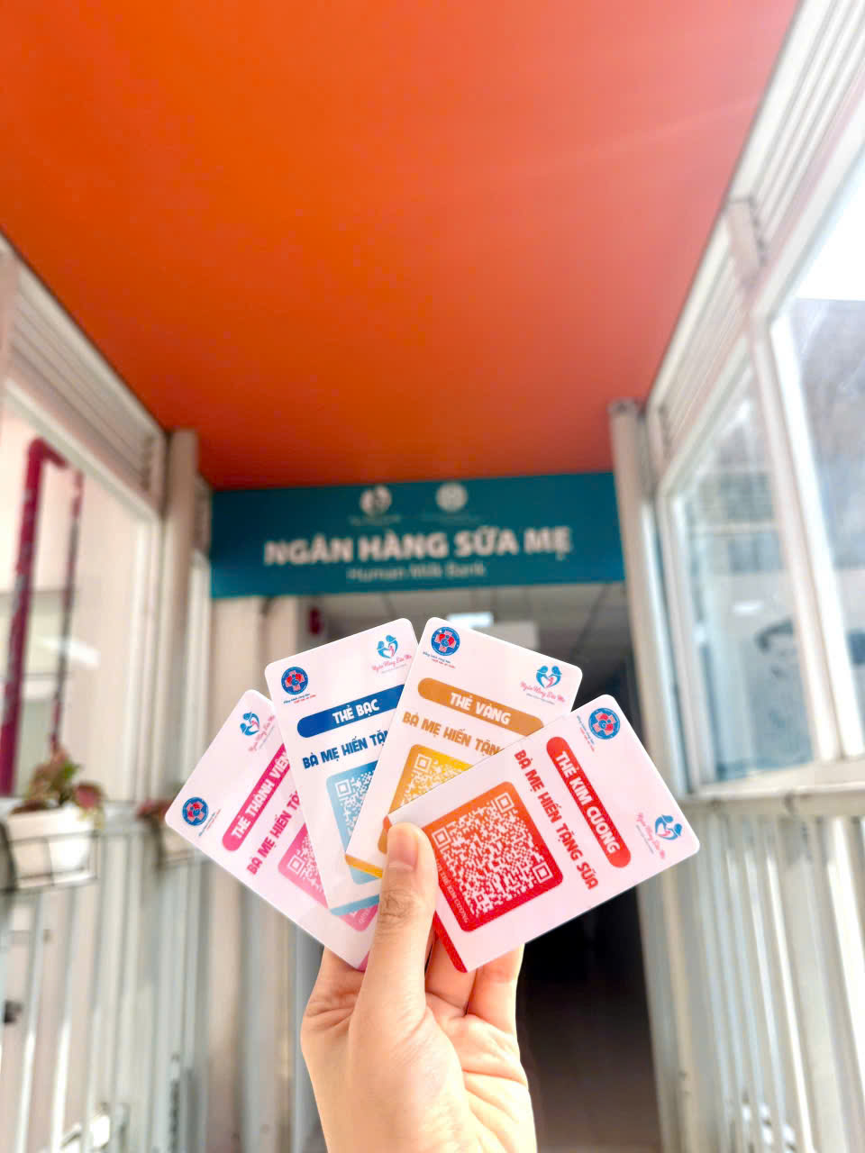 Giải Mã Những Hiểu Lầm Về Sữa Mẹ: Lời Khuyên Từ Chuyên Gia