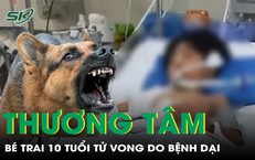 Ba Trẻ Nhập Viện Cấp Cứu Vì Biến Chứng Viêm Ruột Thừa