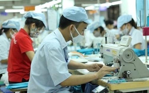 Các Quy Định Mới Về Xử Phạt Hành Vi Trốn Đóng Bảo Hiểm Xã Hội