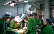 Những Tổn Thương Nghiêm Trọng Từ Vụ Cắn Chó: Cảnh Báo An Toàn Cho Trẻ Nhỏ