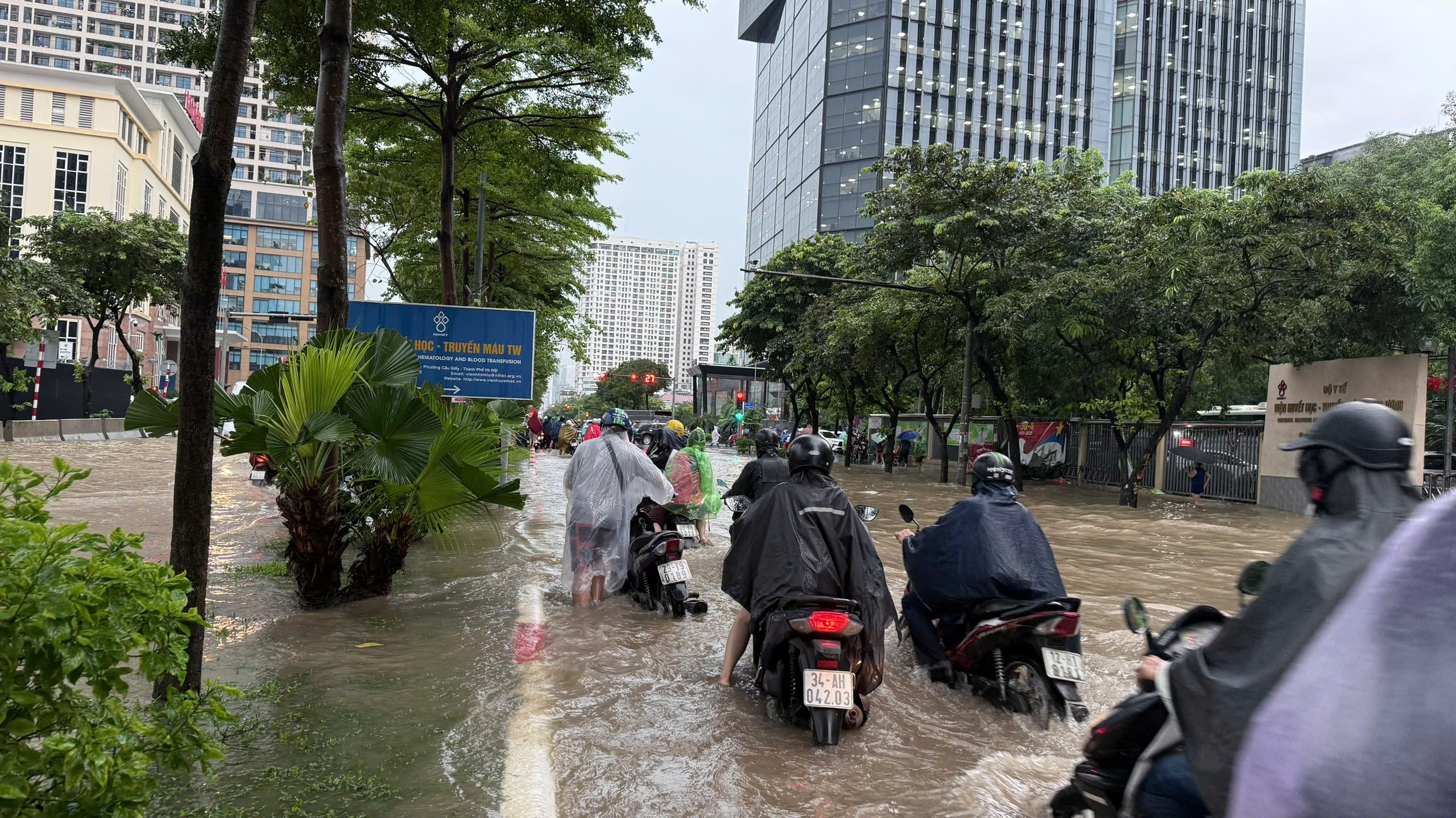 Dự báo thời tiết miền Bắc