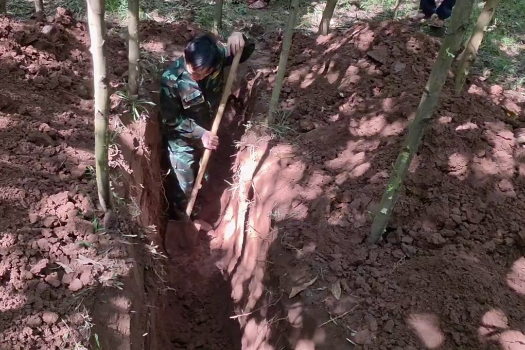 Quy tập hai hài cốt liệt sĩ tại bản Bãi Dinh: quá trình, thách thức và ý nghĩa